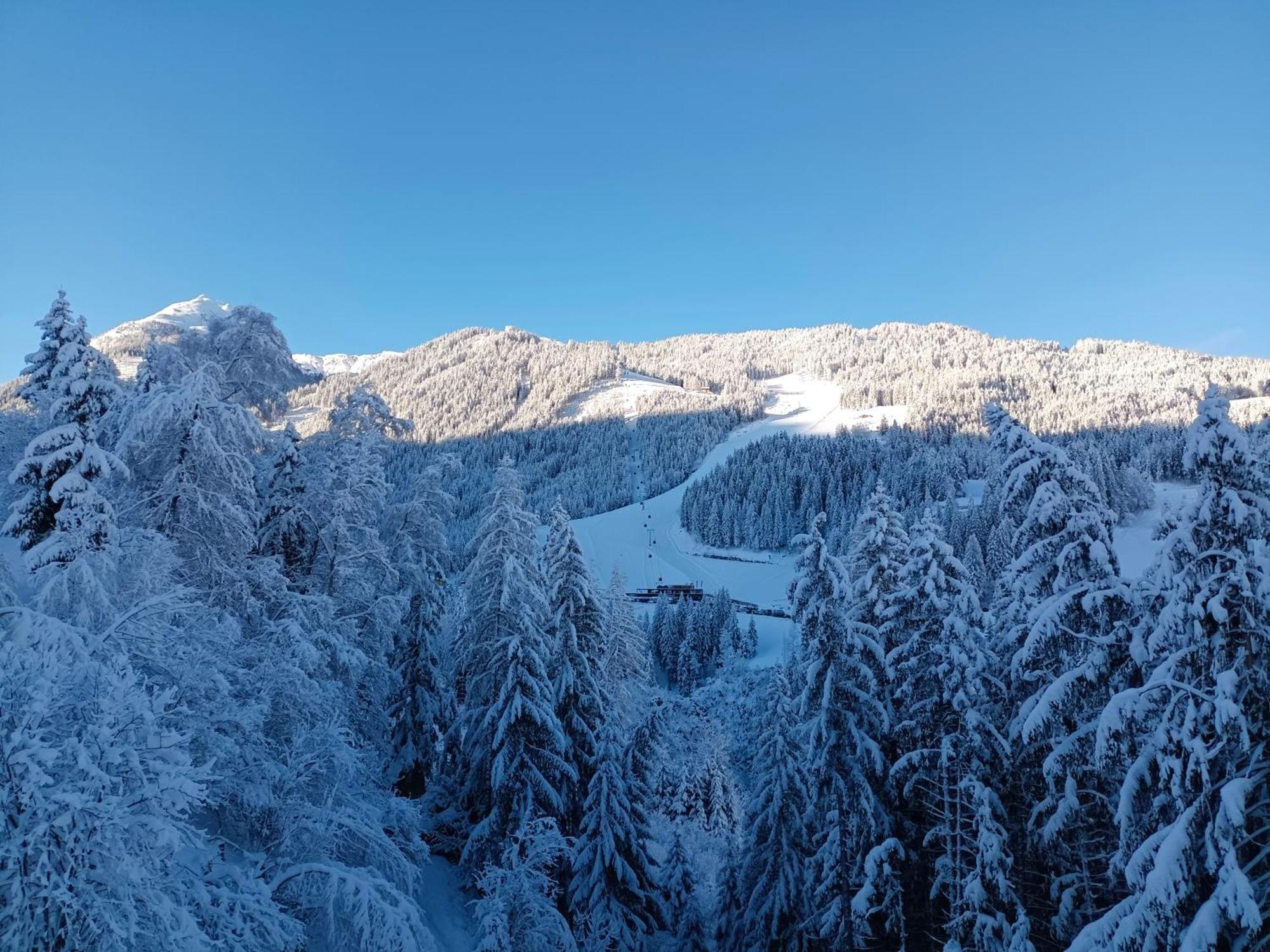 Chalet Leni Schladming Buitenkant foto